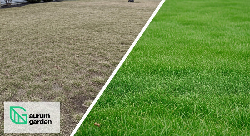 Pavasarinis vejos tręšimas: Išsamus gidas vešliai ir žaliai vejai