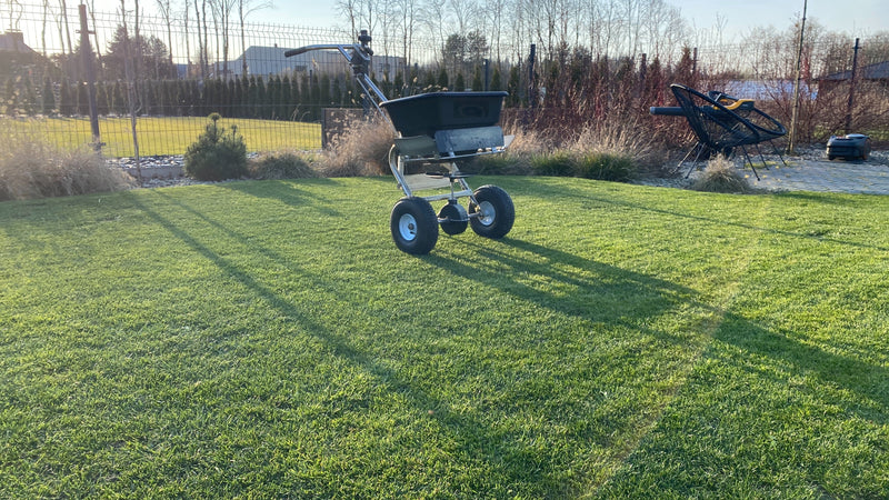 Vejos tręšimas: išsamus gidas, kaip turėti vešlią ir žalią veją