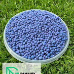 Violetinės ilgalaikio veikimo vasarines vejos trąšų granulės indelyje ant žalios vejos – trąšų forma ir tekstūra iš arti