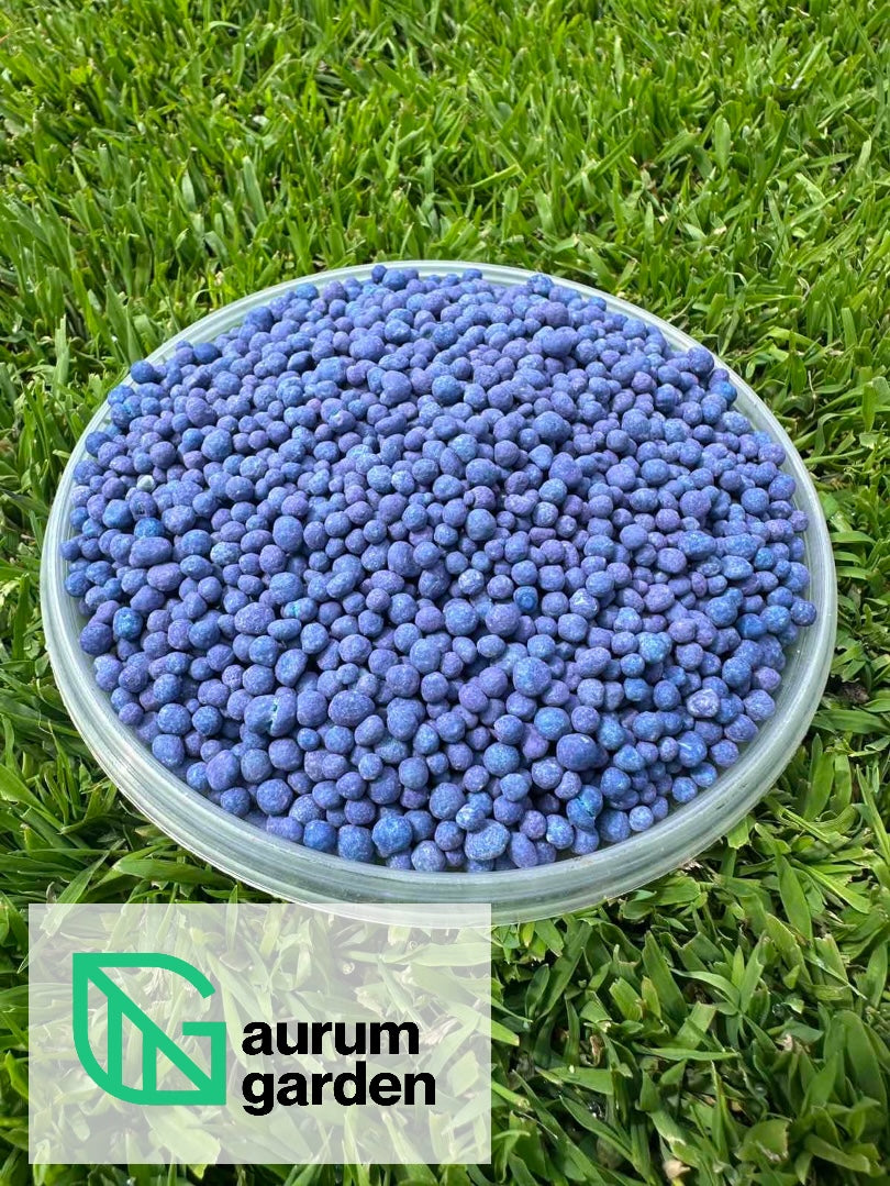 Violetinės ilgalaikio veikimo vasarines vejos trąšų granulės indelyje ant žalios vejos – trąšų forma ir tekstūra iš arti