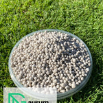 Vasarinės vejos trąšų granulės iš arti, subertos į permatomą indelį, kuris guli ant vešlios ir žalios vejos.