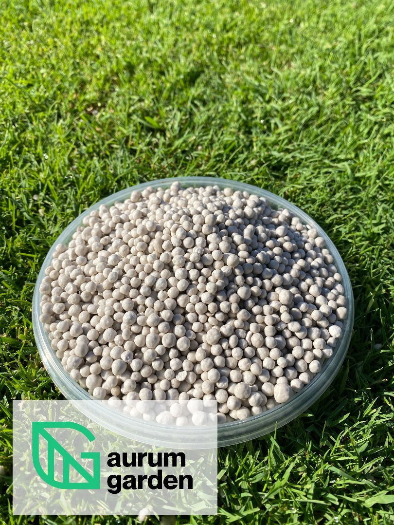 Vasarinės vejos trąšų granulės iš arti, subertos į permatomą indelį, kuris guli ant vešlios ir žalios vejos.