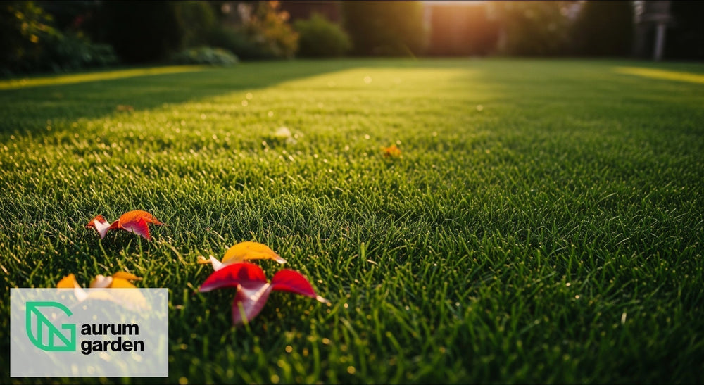 Rudeninis vejos tręšimas: ką rinktis – NPK ar kalio trąšas?