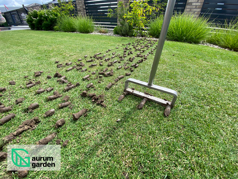 Vejos giluminis aeravimas („Core“ aeracija): viskas, ką reikia žinoti tobulai vejai