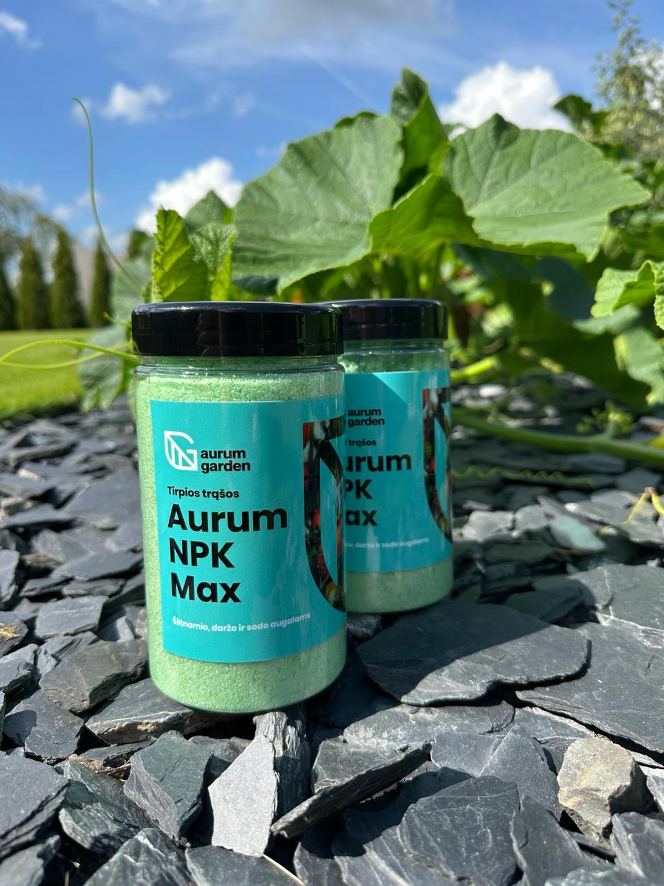 Aurum NPK Max tirpių universalių trąšų pakuotė stovi šalia gausiai derančio pomidorų.
